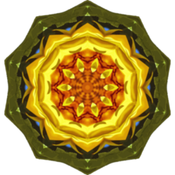 SunflowerKaleidoscope24
