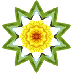 SunflowerKaleidoscope26
