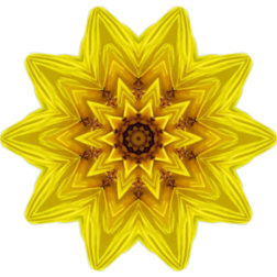 SunflowerKaleidoscope3