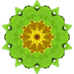 SunflowerKaleidoscope7