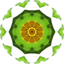 SunflowerKaleidoscope8