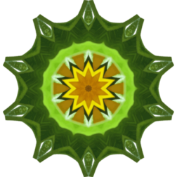SunflowerKaleidoscope9
