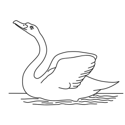 Swan VI