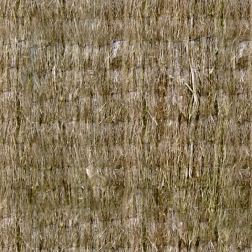 Thatch