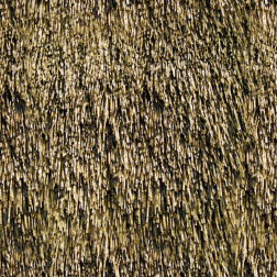 Thatch2