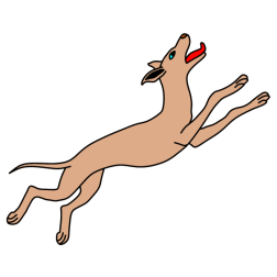 The dog is trying to catch a bird