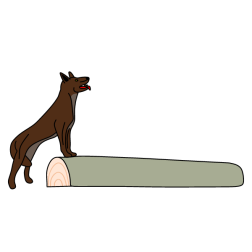 The dog listens to howling wolves in the hills