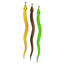 Three snakes