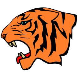 Tiger, head 2