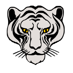 Tiger, head 3