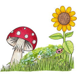 Toadstool Scene