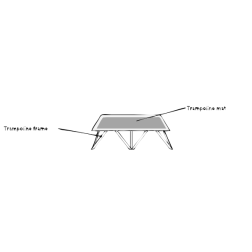 Trampoline 2015101525
