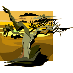 Tree16