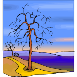 Tree17