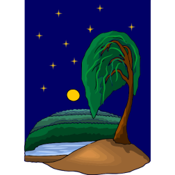 Tree19