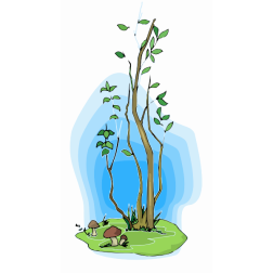 Tree42