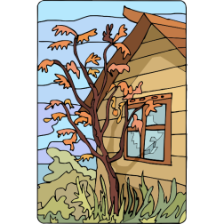 Tree43