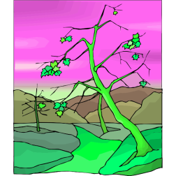 Tree49