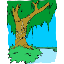 Tree53