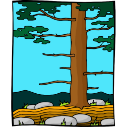 Tree54