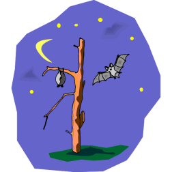 Tree61