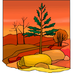 Tree63