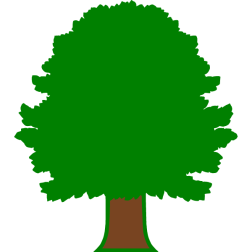 Tree 6b