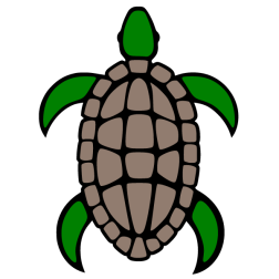 Turtle II