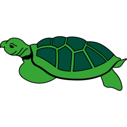 Turtle2