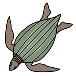 Turtle IX