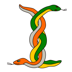 Two snakes 6