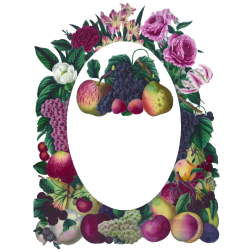Vintage Floral And Fruit Frame