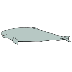 Whale I