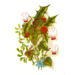 WinterFlowers