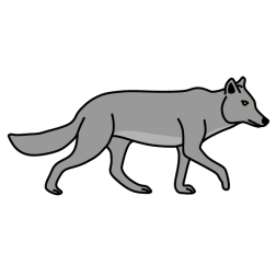 Wolf 11