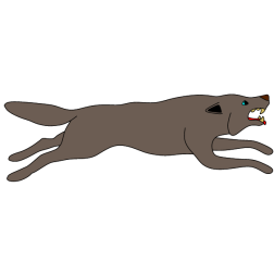 Wolf 12