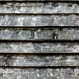 WoodPanelling