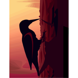 Woodpecker2