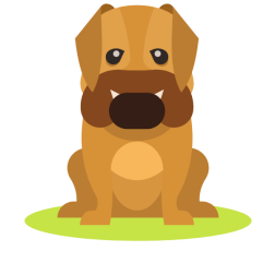 A cute dog-1768732683