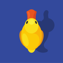 Cute duckling
