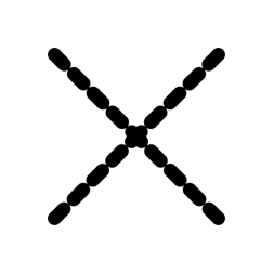 aao