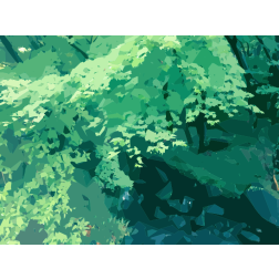 Green Nature Scene