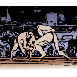 Sumo wrestlers-1657027256