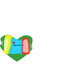 acordion cora