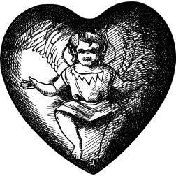 angel 13