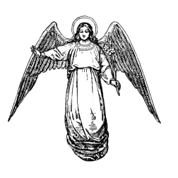 angel 17