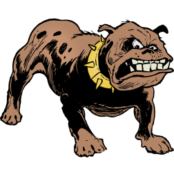 Angry Bulldog-1636670998