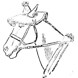 apnar03700058drawing