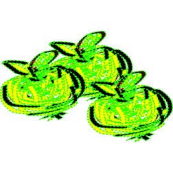 apples