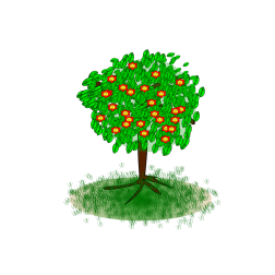 Apple tree-1643238844
